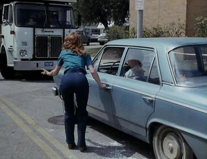 1965 Rambler American 330