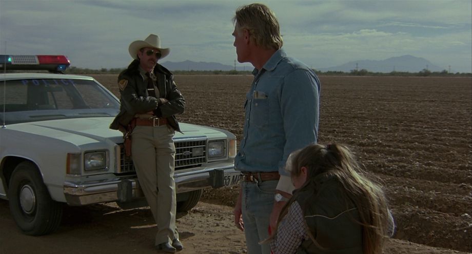 1982 Ford LTD-S [54D]