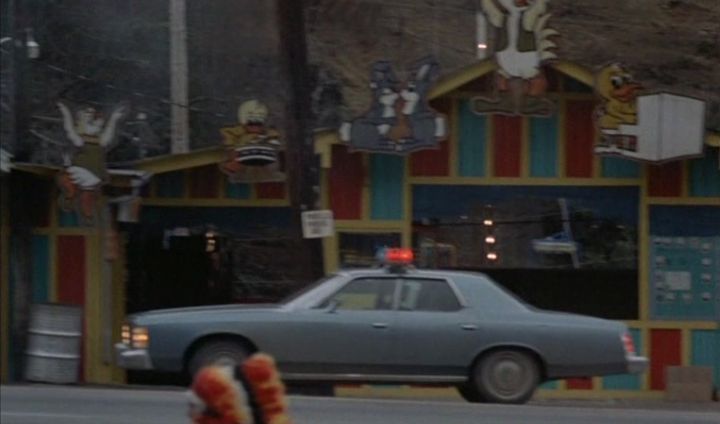 1975 Ford Custom 500