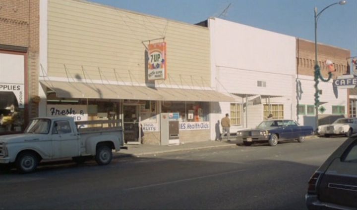 1966 Ford F-Series Flareside