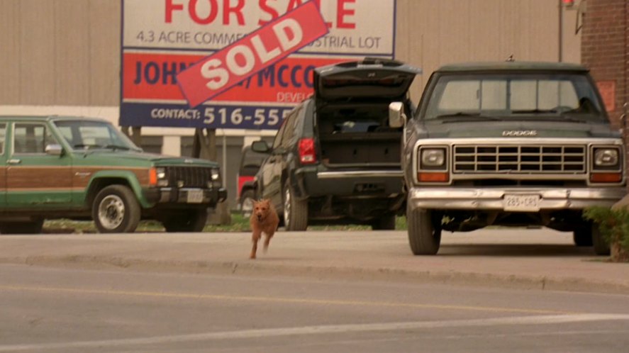 1981 Dodge Ram D-Series Conventional Cab [AD]