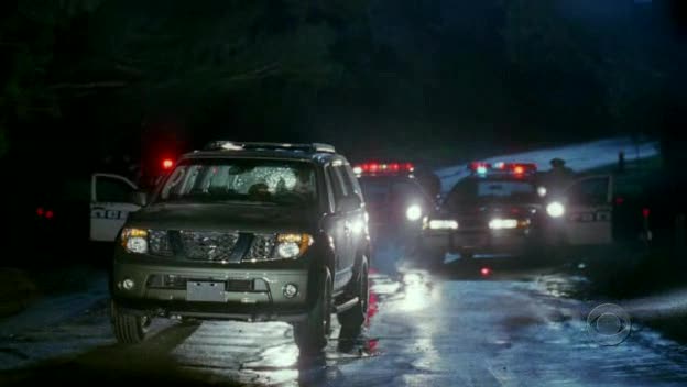 2005 Nissan Pathfinder [R51]