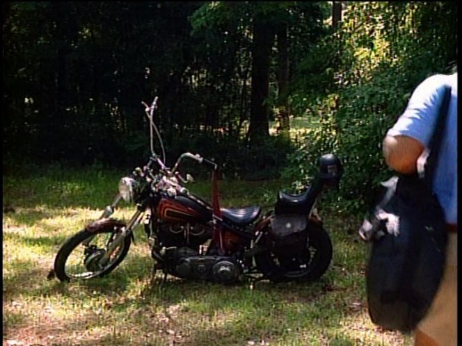 Harley-Davidson Custom Chopper