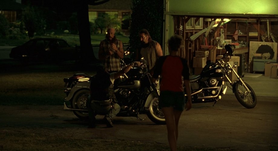 Harley-Davidson Softail Custom