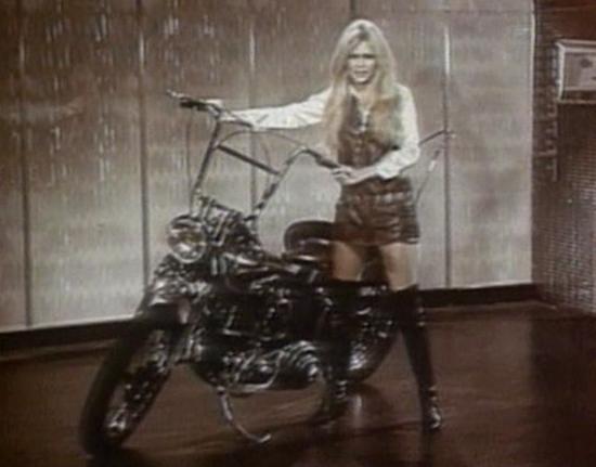 Harley-Davidson Chopper Evolution