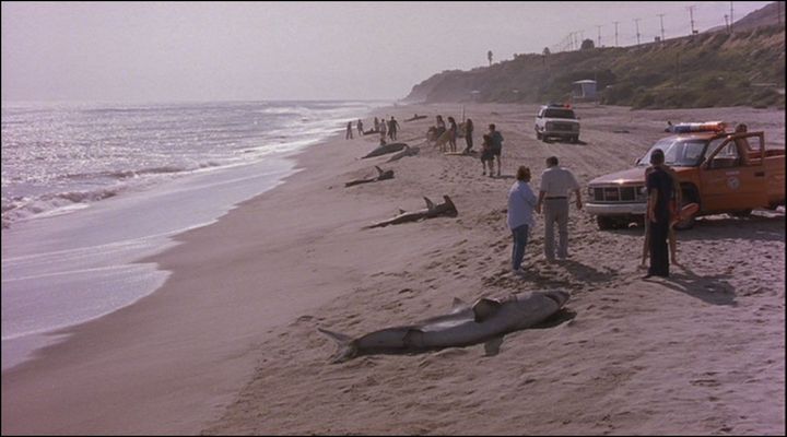 1988 GMC Sierra 1500 Regular Cab SL [GMT400]