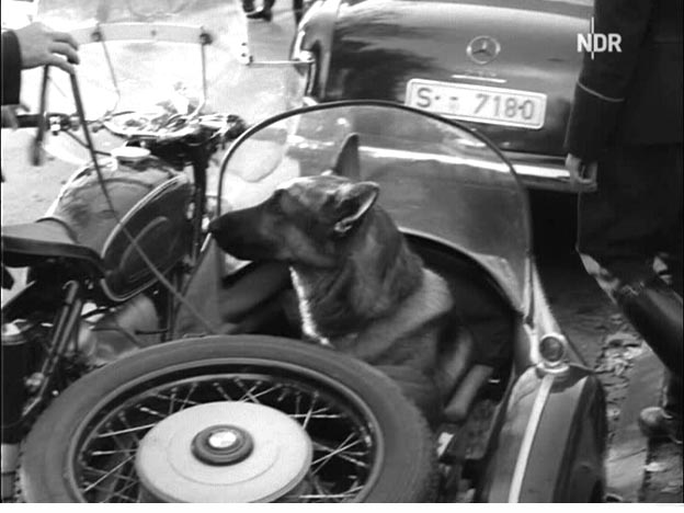 1956 BMW R 60 Gespann