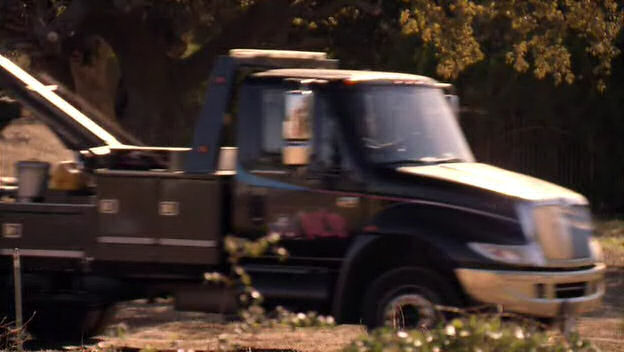 2002 International 4000-Series