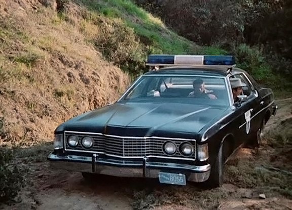 1973 Ford Custom 500