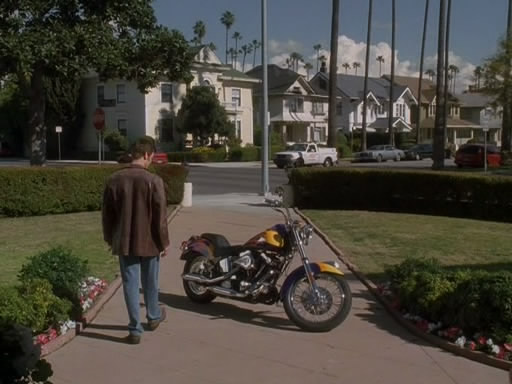 1986 Harley-Davidson Softail Evolution