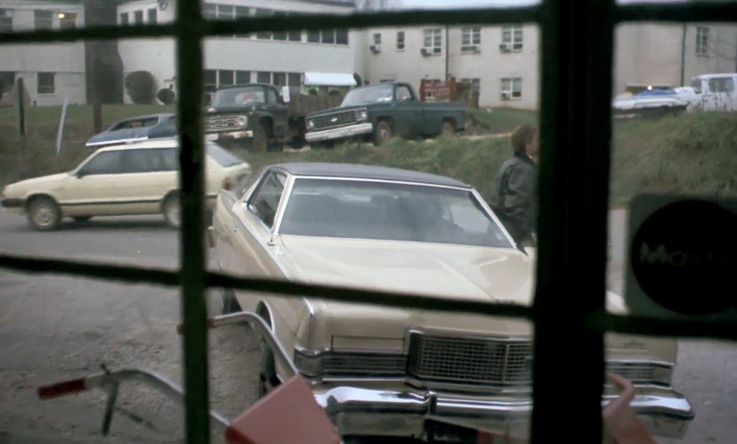 1980 Subaru DL 4WD Wagon [AM]