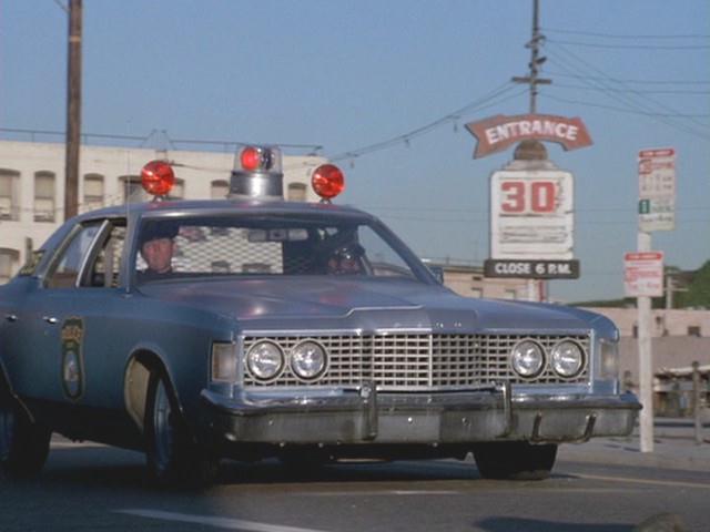 1973 Ford Custom 500