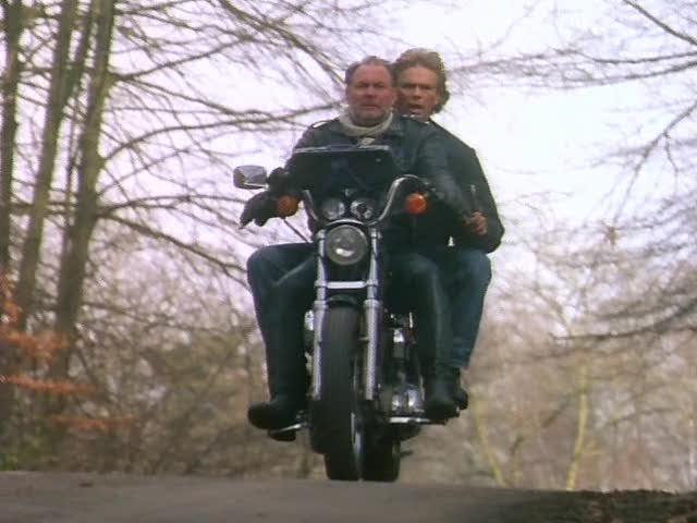 1991 Harley-Davidson Sportster