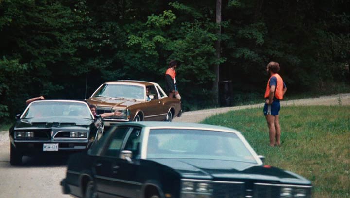 1977 Oldsmobile Delta 88