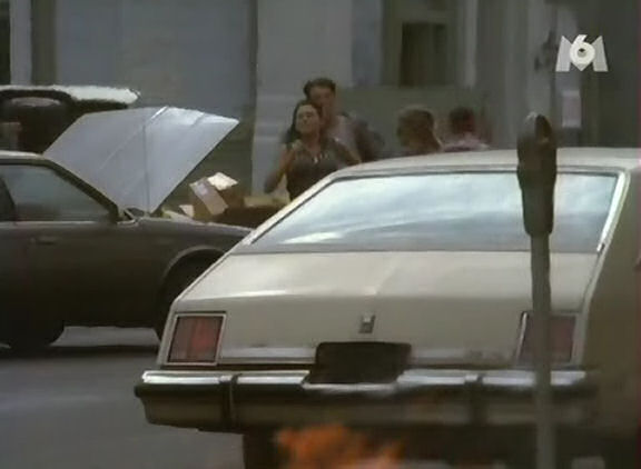 1979 Oldsmobile Cutlass Salon