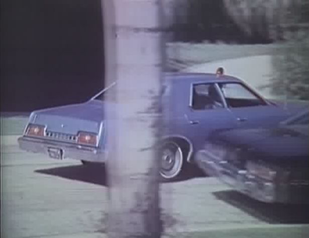 1973 Ford Custom 500
