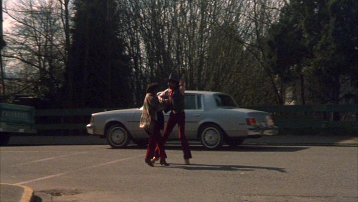 1980 Buick Century