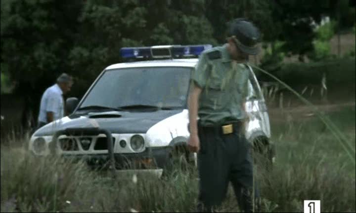 Nissan Terrano II [R20]