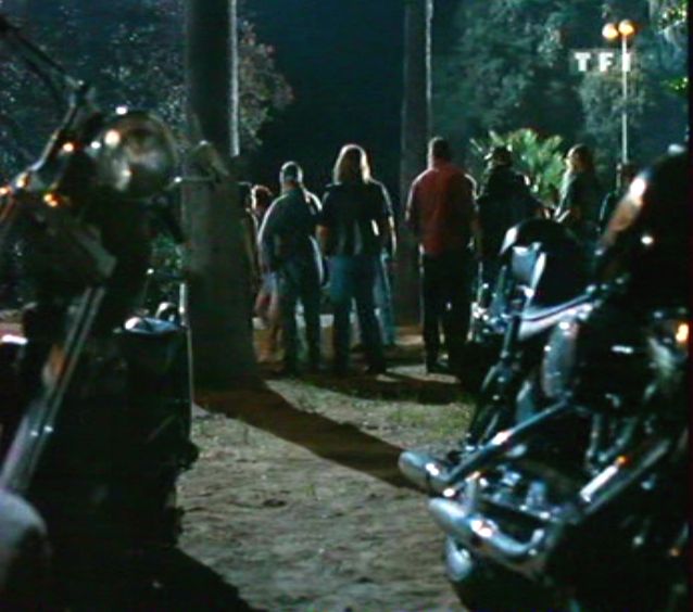 Harley-Davidson Softail