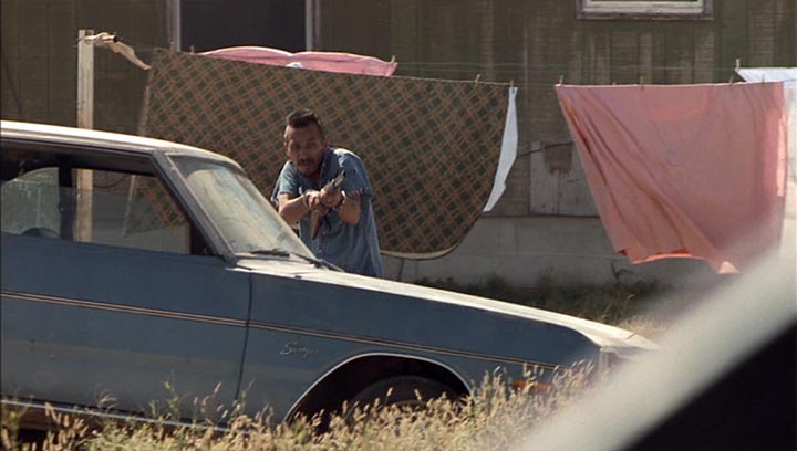 1973 Dodge Dart Swinger