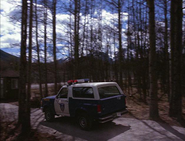 1987 Ford Bronco [U15]