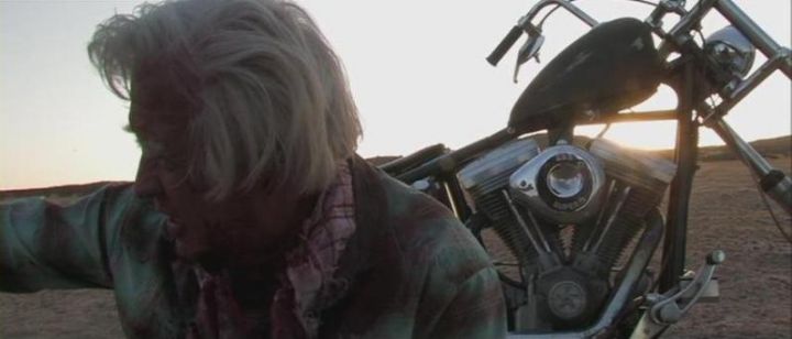 Harley-Davidson Chopper Custom