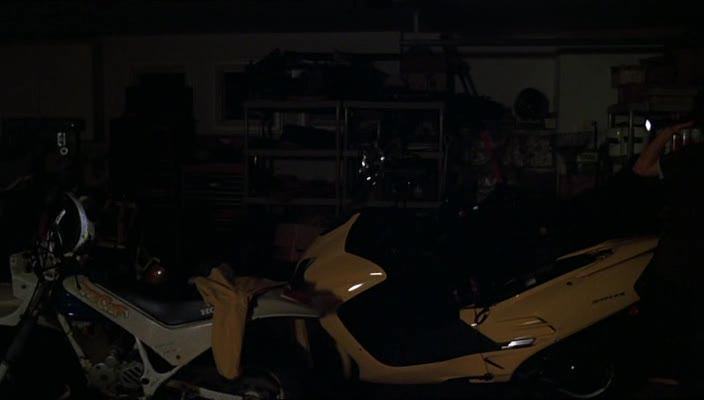 Honda Reflex 250