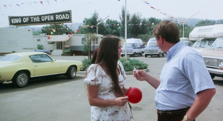 1974 Chevrolet Camaro Type LT