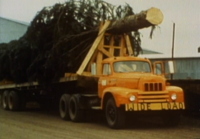 1953 International Harvester R-Series