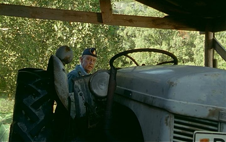 Ferguson TE 'Grålle'