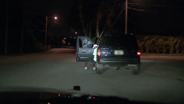 1996 Nissan Pathfinder [R50]