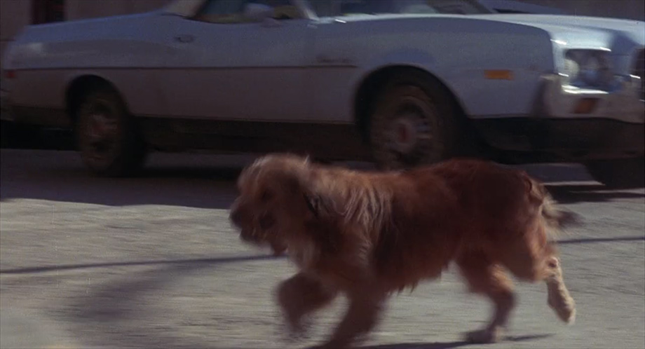 1972 Ford Ranchero 500