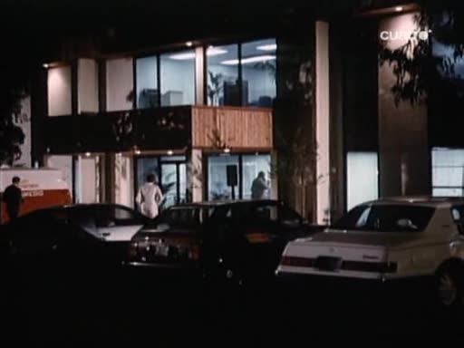 1984 Ford Thunderbird FILA