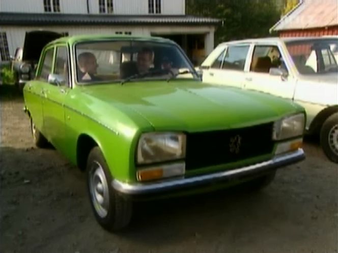 1973 Peugeot 304