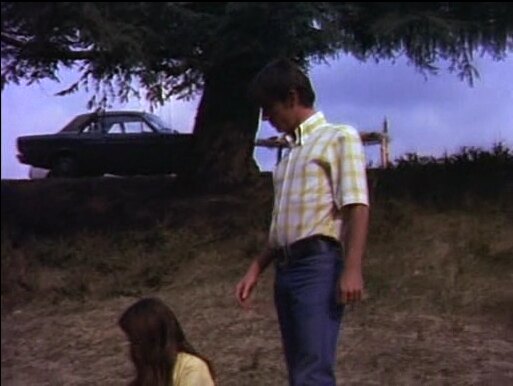 1966 Ford Falcon Futura