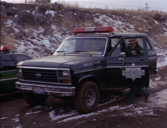 1985 Ford Bronco [U15]