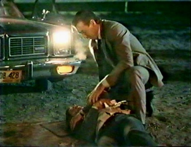 1977 Dodge Monaco
