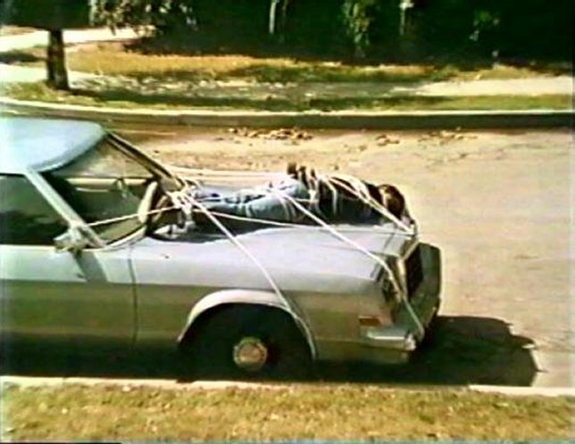 1980 Plymouth Gran Fury [JL42]