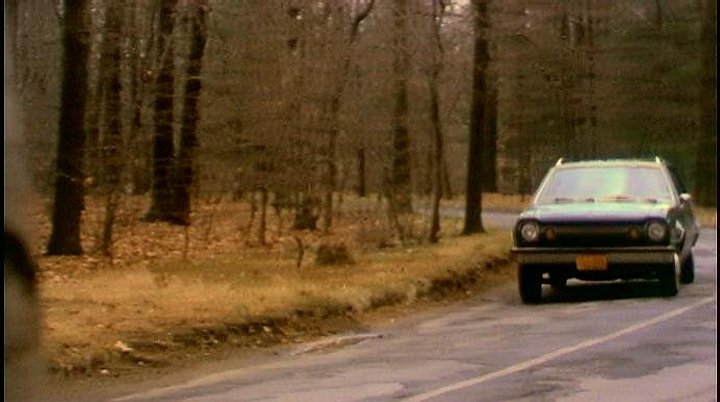 1973 AMC Hornet Sportabout