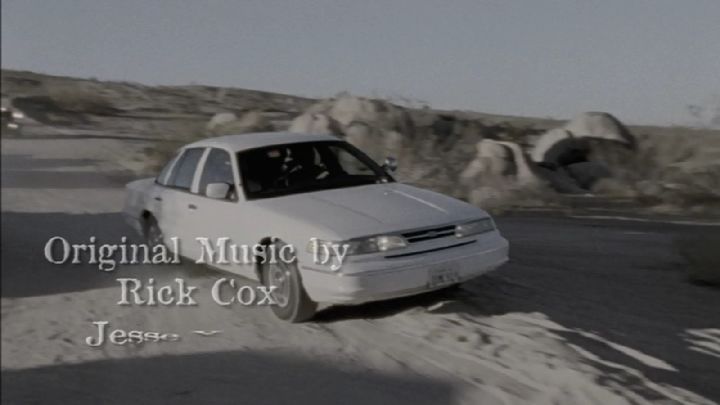 1995 Ford Crown Victoria [P71]