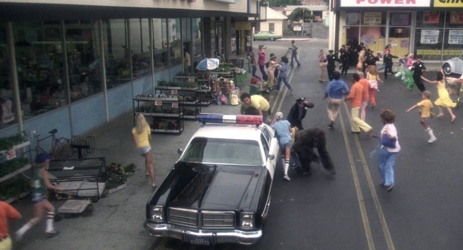 1977 Dodge Monaco