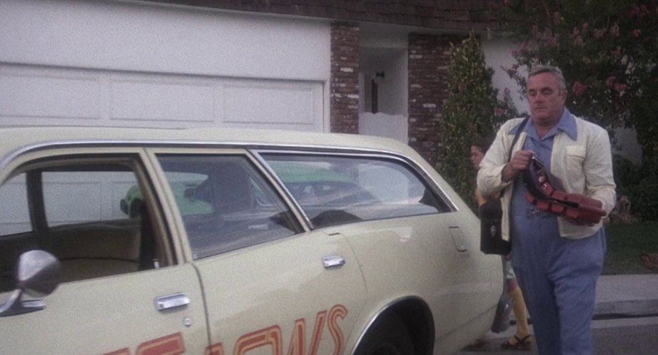 1977 Dodge Monaco