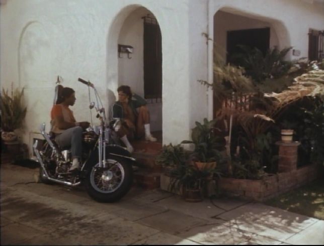 Harley-Davidson Springer