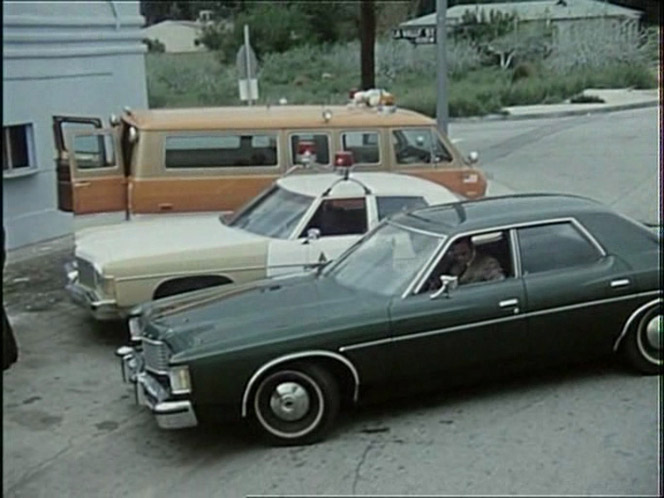 1973 Ford Custom 500
