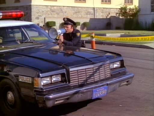 1979 Dodge St. Regis