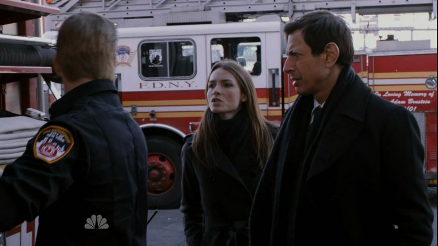 Seagrave Rear Mount Ladder