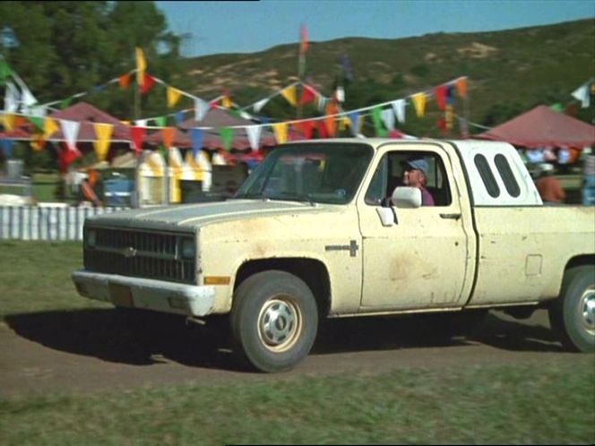1981 Chevrolet C-20 Custom Deluxe Fleetside