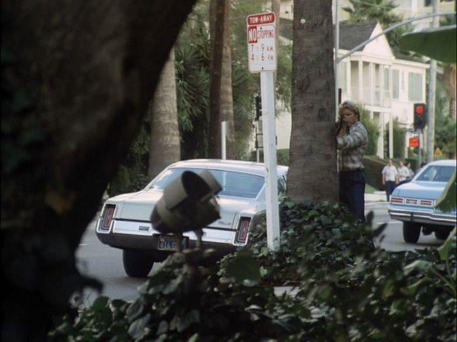 1973 Oldsmobile Cutlass