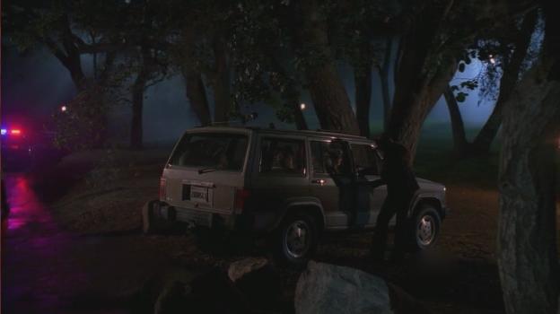1984 Jeep Wagoneer Limited [XJ]