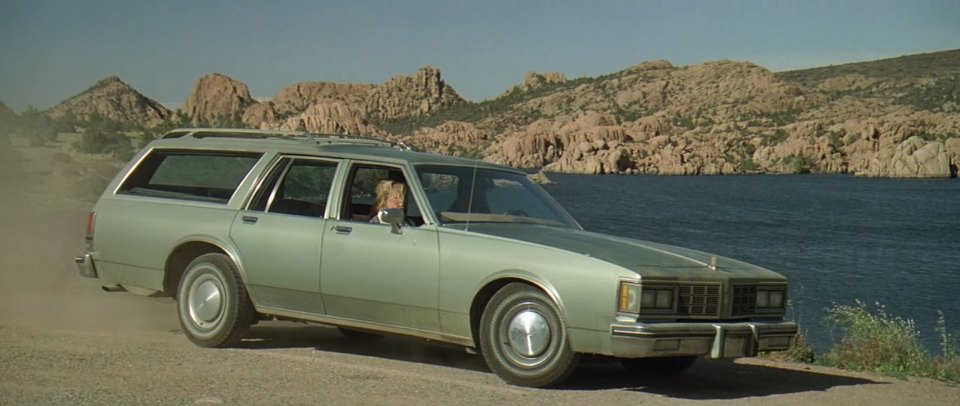 1983 Oldsmobile Custom Cruiser